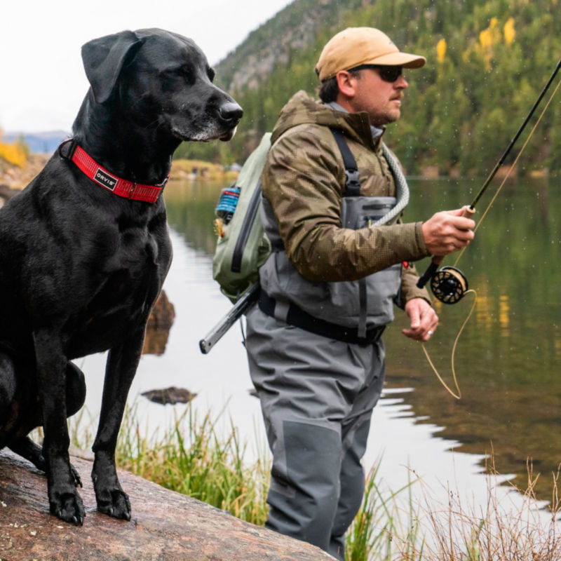 Tough Trail Dog Collar and Leash